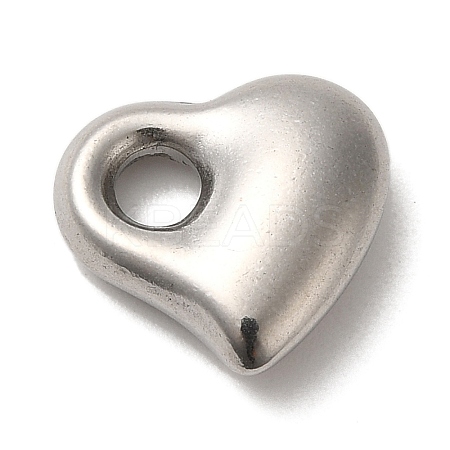 Non-Tarnish 304 Stainless Steel Charms STAS-R223-01A-1