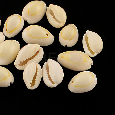 Natural Cowrie Shell Pendants BSHE-Q297-1-1