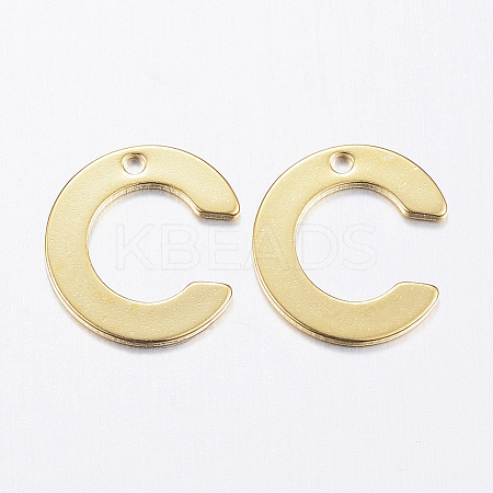 304 Stainless Steel Charms LS-X-STAS-P141-C-1