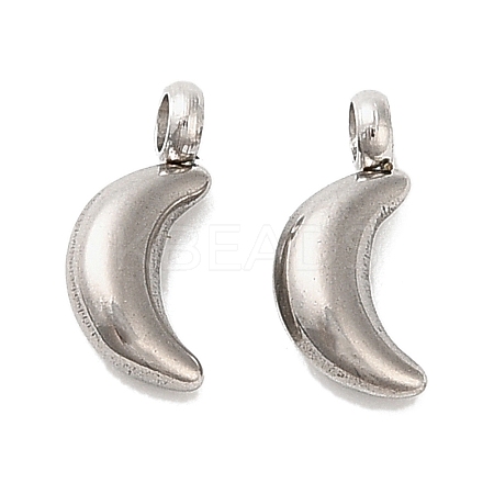 304 Stainless Steel Charms STAS-M017-14C-P-1-1