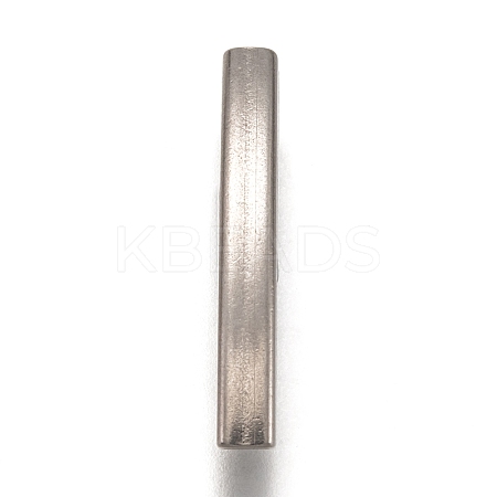 Non-Tarnish 304 Stainless Steel Tube Beads STAS-Z025-02P-1