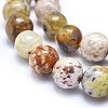 Natural Yellow Opal Beads Strands G-I213-18-10mm-4