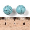 Synthetic Turquoise No Hole Sphere Beads G-K353-04A-12-3