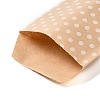 Kraft Paper Bags LS-CARB-I001-04C-3