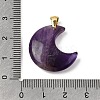 Natural Amethyst Pendants G-A297-02G-10-3