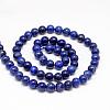 Natural Lapis Lazuli Round Beads Strands X-G-I181-10-8mm-2