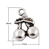 Tibetan Style Alloy 3D Cherry Charms LS-TIBEP-23493-AS-NR-1