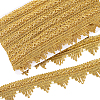 Sparkle Polyester Lace Ribbon OCOR-WH0080-33B-1
