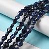 Natural Sodalite Beads Strands G-B022-18B-4
