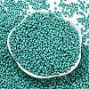 Opaque Colours Glass Seed Beads SEED-S042-09A-04-2