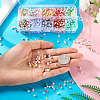 100G 10 Colors Baking Paint Glass Seed Beads SEED-TA0001-48-6