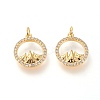 Brass Micro Pave Clear Cubic Zirconia Charms X-ZIRC-L098-025G-1