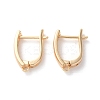 Rack Plating Brass Earrings EJEW-S241-03G-1