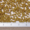 MIYUKI Round Rocailles Beads X-SEED-G007-RR2312-4