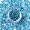 6/0 Transparent Glass Seed Beads SEED-S040-09A-07-2