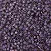 TOHO Round Seed Beads SEED-JPTR08-PF2108-2