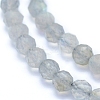 Natural Labradorite Beads Strands G-I279-E19-3