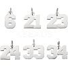 6Pcs 6 Style 316 Surgical Stainless Steel Charms STAS-UN0040-38P-1