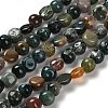 Natural Indian Agate Beads Strands LS-G-P497-01E-89-1