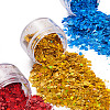 10 Boxs 10 Colors Nail Art Flash Powder and Sequins MRMJ-TA0001-30-3