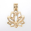 Alloy Diffuser Locket Pendants PALLOY-S062-40G-2
