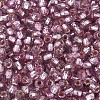 Silver Lined Glass Seed Beads SEED-T007-18A-10-3