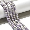 Natural Purple Turquoise Beads Strands G-L595-C04-01-2