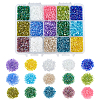  300g 15 Colors 11/0 Two Cut Glass Seed Beads SEED-NB0001-28-1