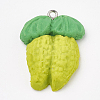 Handmade Polymer Clay Pendants CLAY-T012-11-1
