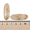 Natural Fossil Coral Pendants G-B187-01C-10-3