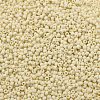 TOHO 11/0 Round Beads X-SEED-TR11-0051F-2