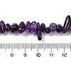 Natural Amethyst Chip Beads Strands X-G-L607-A01-01-3