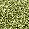 8/0 Glass Seed Beads X1-SEED-A017-3mm-1112-2
