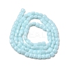 Opaque Glass Beads Strands GLAA-L050-C14-2
