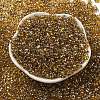 Glass Seed Beads SEED-K009-10B-02-2