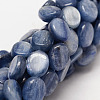 Oval Natural Kyanite/Cyanite/Disthene Bead Strands G-O139-01B-1