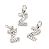 Brass Micro Pave Grade AAA Cubic Zirconia Charms LS-ZIRC-P067-11P-Z-NR-1