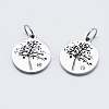 316 Surgical Stainless Steel Micro Pave Clear Cubic Zirconia Charms STAS-YW0002-19-1