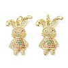 Brass Micro Pave Cubic Zirconia Pendant ZIRC-C021-28G-1