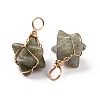 Natural Labradorite Copper Wire Wrapped Pendants G-B041-02G-18-3