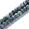 Natural Sesame Jasper Beads Strands G-K380-A18-01-1