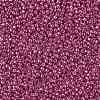 TOHO 11/0 Round Beads X-SEED-TR11-PF0563-2