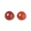Natural Red Agate Cabochons G-G994-J02-01-3