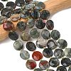 Natural Bloodstone Beads Strands G-A292-A09-01-1