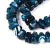 Natural Agate Beads Strands G-N356-01A-14-4