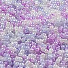 Glass Seed Beads SEED-K009-02B-22-3