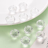 Transparent Acrylic Pendants LS-TACR-T024-05B-205-6