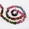 Natural Tourmaline Chip Bead Strands G-M298-15-2