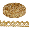 2 Rolls Metallic Yarn Lace Trim OCOR-GF0005-58A-7
