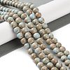 Natural Rainbow Alashan Agate Beads Strands G-NH0022-A07-02-2